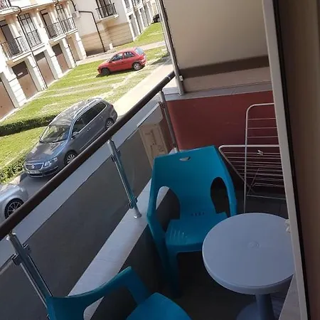 студио сара *